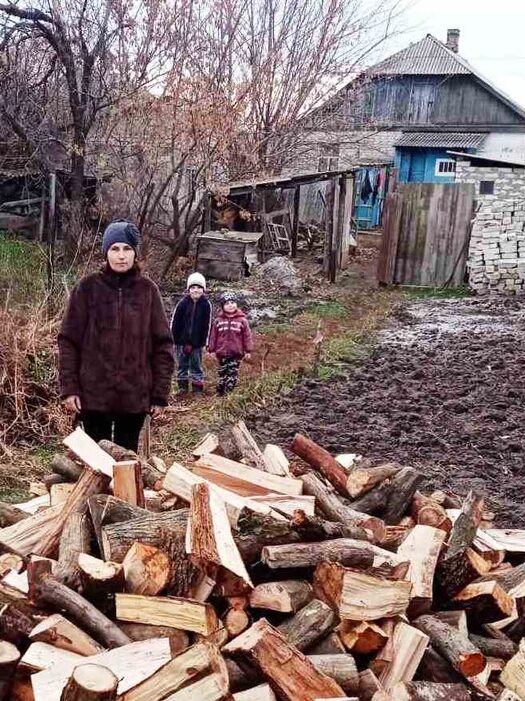 Mutter und 2 kleinen Kindern stehen hinter einem Haufen Brennholzscheiter